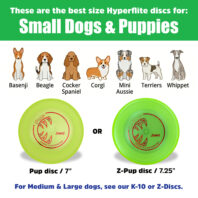 For Small Dogs Image