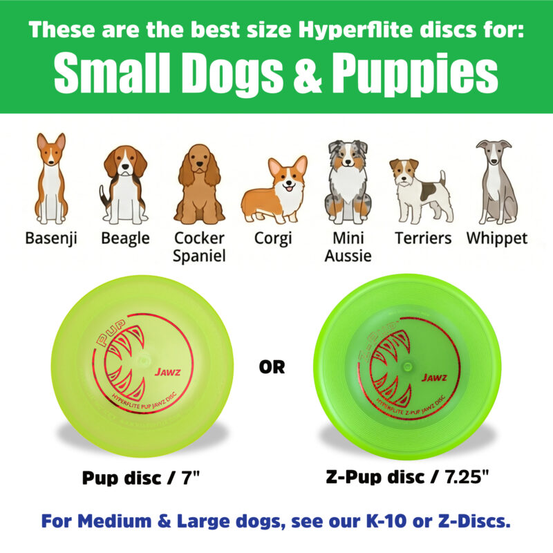 For Small Dogs Image For Small Dogs Image
