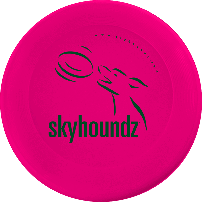 pink_mini_top_800x800 Pink Mini-Frisbee (Top View)