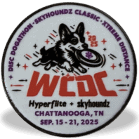 2025 WC Pin