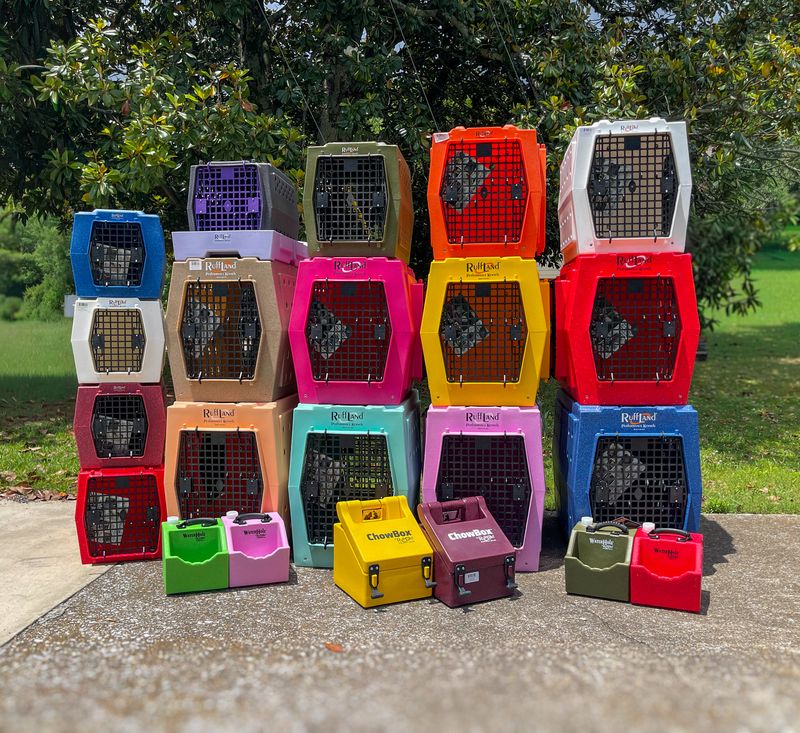 Modern Dog Academy